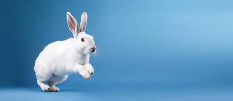 Cute Rabbit isolated on blue background, Banner with copy space. Created photo