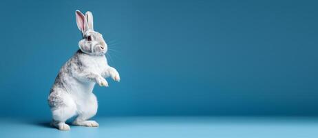 Cute Rabbit isolated on blue background, Banner with copy space. Created photo