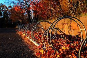 Bicycle Parking Rack in the Autumn Park. photo