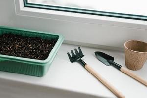 Container with peat and planted seeds with a garden tool at home on the windowsill photo