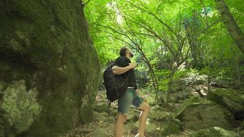 Young man wandering in the forest. Young man looking at trees and sky in the forest. video