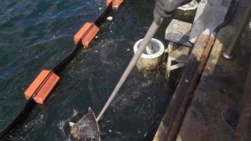 zee vervuiling. het reinigt de verspilling gegooid in de zee met een vis lepel. de schoonmaakster wie verzamelt de aarde in de zee met een pollepel. video