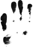 Print of hand or handprint of child with ink isolated on white background, Real Handmade Ink stamp photo