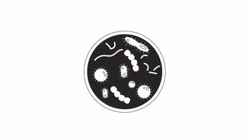 animado bw bacterias petri plato. negro y blanco Delgado línea icono 4k vídeo imágenes para web diseño. investigación debajo microscopio aislado monocromo plano objeto animación con alfa canal transparencia video