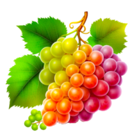 manojo de Fresco uvas ilustración png
