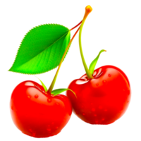 ilustración de fruta de cereza png