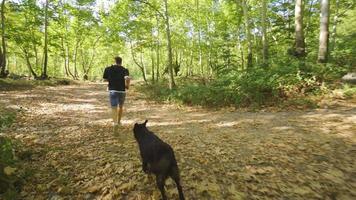 homem homem corrida com cachorro. jovem homem fazendo Esportes dentro a floresta corre com a cachorro. video