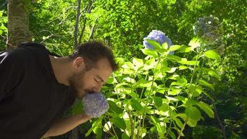 Look at the flower in nature. The young man who smells the flower. video