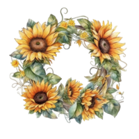 Sunflower wreath watercolor, png
