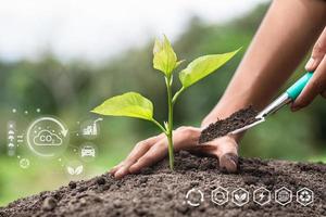 Trees grow in human hands. Hand planting trees with technology of renewable resources to reduce pollution ESG icon concept in hand for environmental, social and sustainable business governance. photo