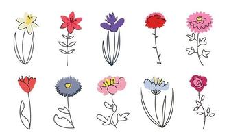 Set of garden flowers. Nature design elements in doodle style. vector