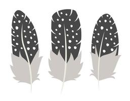 Set of guinea fowl feathers in flat style. vector