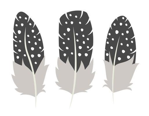 Set of guinea fowl feathers in flat style.