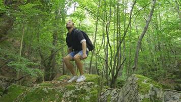 Reisender jung Mann Gehen im Natur. jung Mann mit Rucksack ist Reisen im das Wald und ist glücklich. video