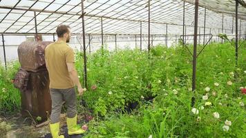 Sad florist, farmer. Young florist in the flower greenhouse is sad and angry while looking at the greenhouse. video