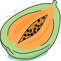 papaya fruit cut in half vector