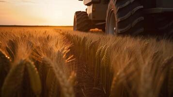 generativo ai, de cerca moderno combinar segador en un trigo campo, granja paisaje, agrícola hermosa campo. naturaleza ilustración, fotorrealista horizontal bandera. foto