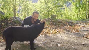 giovane uomo chi gli amori cani. giovane uomo nel il foresta gli amori il cane e è jogging. video