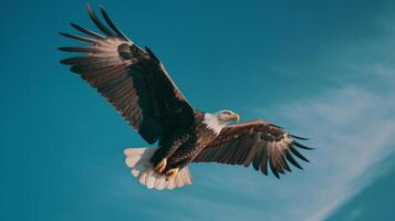 águila en el cielo. ilustración ai generativo foto