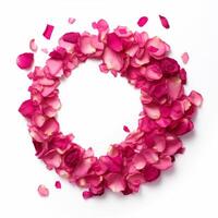 Letter O from rose petals. Illustration photo