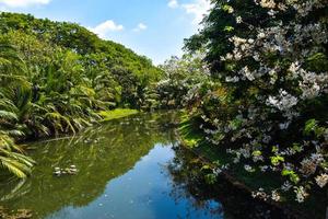 Blooming flowers and landscape   garden  park in Bangkok, Thailand photo