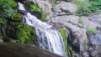 cascade parmi moussu rochers. le clair écoulement cascade se bloque contre le rochers. video