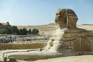 The Great Sphinx in Giza plateau near Cairo. Egypt. photo