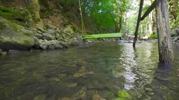 Empty swing is swinging. The swing on the stream in the forest is swinging empty. video