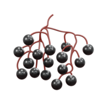 3d icon rendering elder berry png