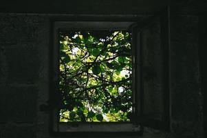 Lost place. Overgrown window photo