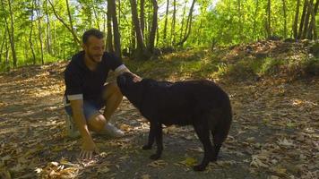 el hombre jugando con el perro. el joven hombre corriendo en el bosque ama el perro él ve y continúa a correr. video