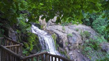 cascata a cascata al di sopra di sporgenza, lussureggiante foresta cascate. il cascata nel il foresta è fluente. video