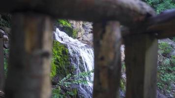 Waterfall in the forest. Waterfall flowing in the middle of the forest. video