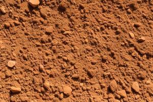 nature ground background, texture of fertile land. soil surface top view photo