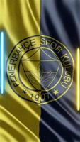 winken fenerbahce Flagge Telefon Hintergrund oder Sozial Medien Teilen video