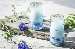 Butterfly pea blue tea latte with blue jelly served in a jar. Topping with white milk froth and fresh butterfly pea petals photo