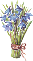 ramo de flores de campanillas de invierno acuarela ilustración png