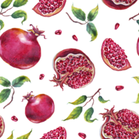 granatäpple. vattenfärg. sömlös mönster png