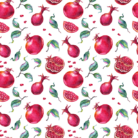 granatäpple. vattenfärg. sömlös mönster png