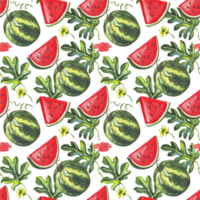 watermeloen naadloos patroon. waterverf illustratie png