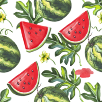 vattenmelon sömlös mönster. vattenfärg illustration png