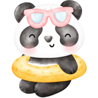 Cute Panda illustration, Panda, Panda illustration, Summertime, summer illustration png