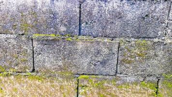 pared de ladrillo cubierta de musgo en el fondo foto