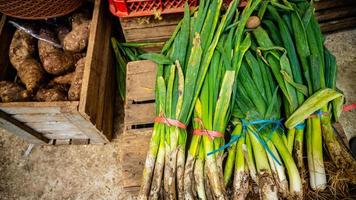 green onions sold in traditional markets photo