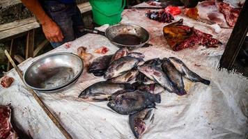 tilapia pescado vendido en tradicional mercados foto