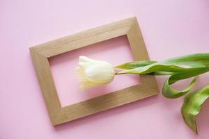 amarillo tulipán flores son arreglado en un rosado antecedentes. el ver desde el arriba, plano poner. vacío espacio para el texto. primavera concepto. De las mujeres día. foto