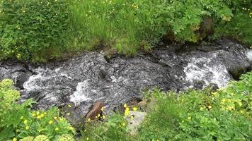 une petit courant dans une vert islandais paysage. video