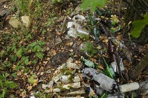 basura en el bosque. ecológico problema. foto