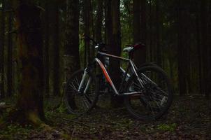 Bicycle near the tree. Traveling to the forest by bike. Evening in the forest. leisure. photo