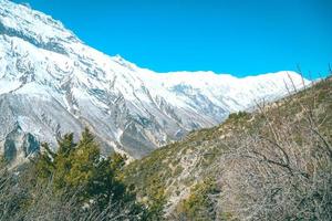 green and blue in the Himalaya photo